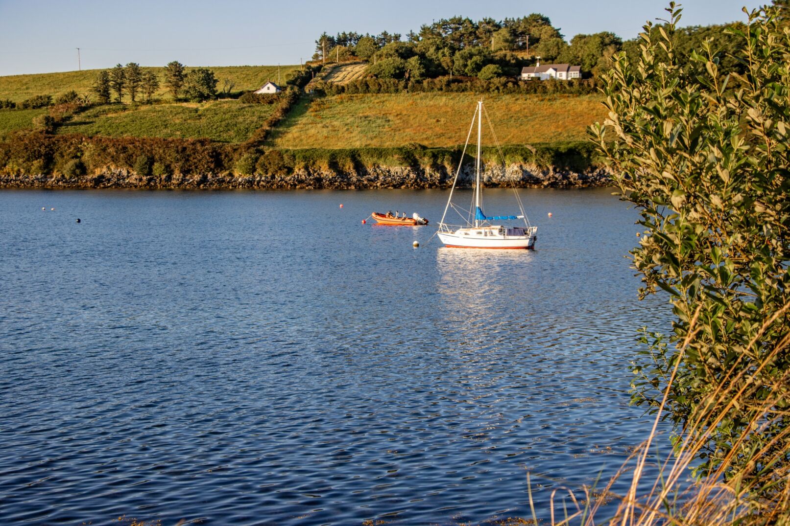 Sailboat in bay with farm in background